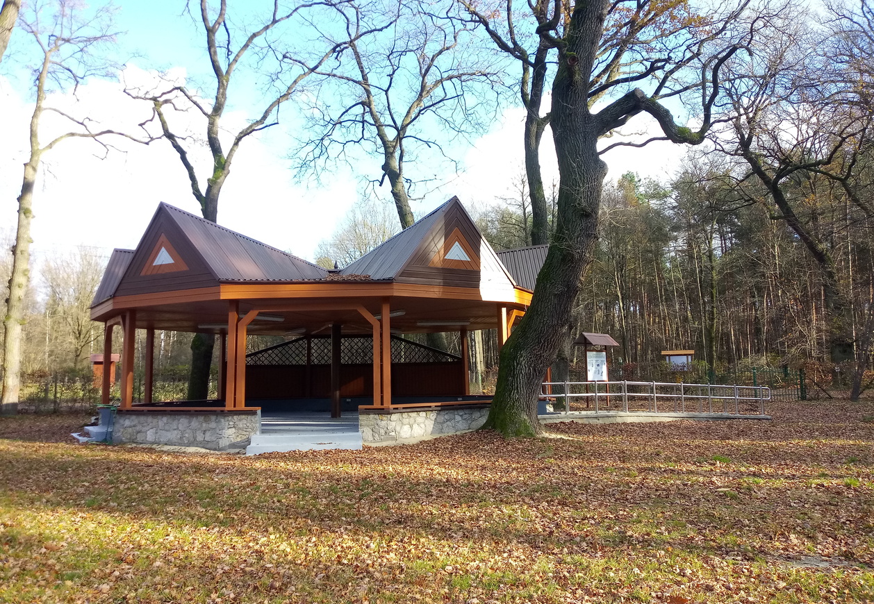 Na świeżym powietrzu brązowa wiata edukacyjna,drzewa, niebo, rośliny, tonacja wiosenna