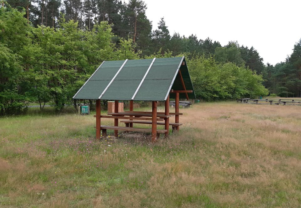 Drewniane zadaszenie w tle las