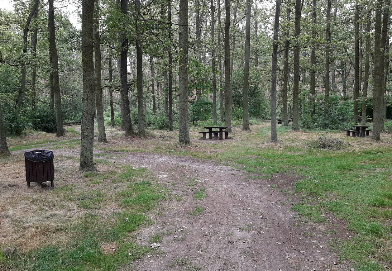 Wpisujące się w krajobraz stoły i ławy z praktycznymi tablicami informacyjnymi gwarantują komfortowe zwiedzanie naszych lasów