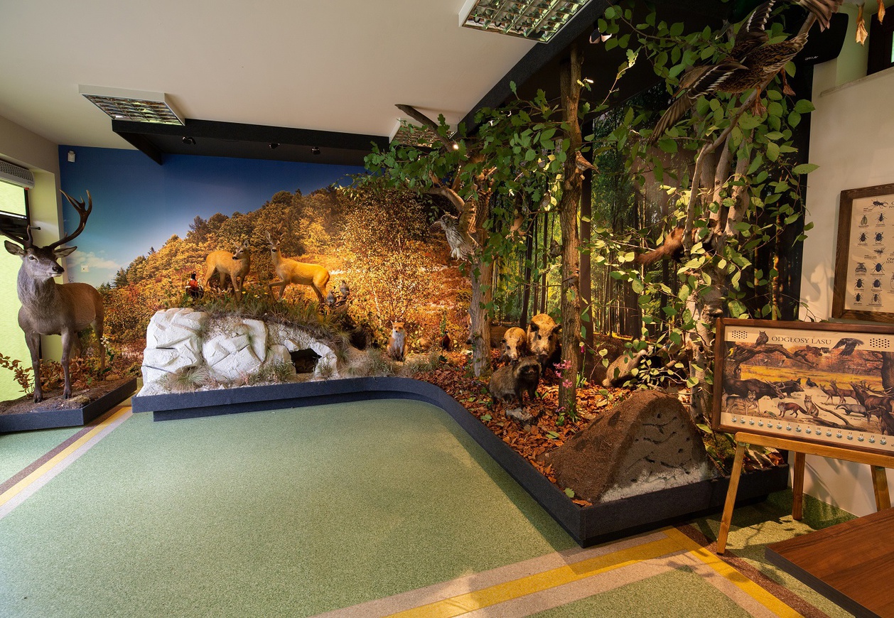 Ekspozycja w pomieszczeniu przedstawiająca las. W niej wypchane zwierzęta. Z boku tablica interaktywna z odgłosami zwierząt.