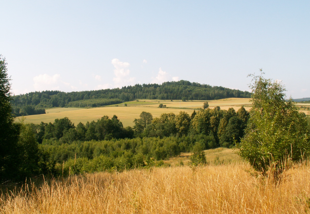 Pole uprawne w oddali wdiać góry porośniete roślinnością oraz niebieskie niebo z chmurami