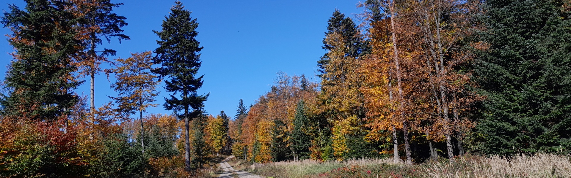 Droga na przełęcz, autor: z archiwum ORWLP