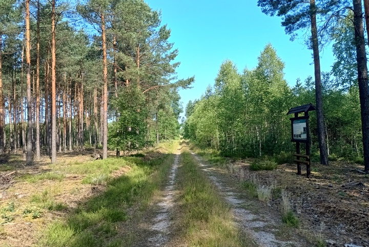 Ścieżka edukacyjna Bysiów, autor: archiwum ORWLP